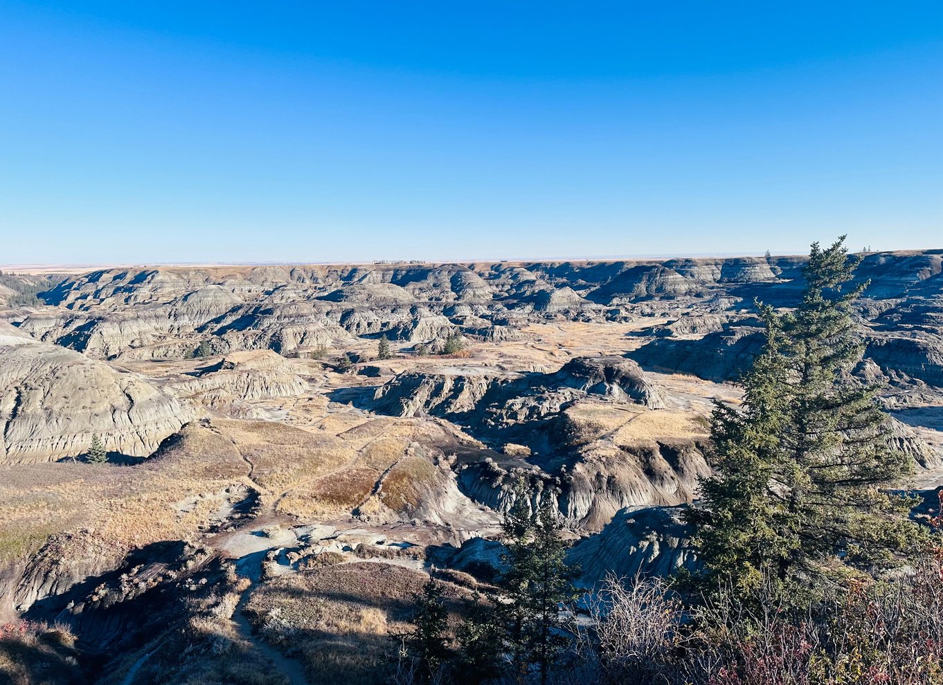 Badlands-tur: Drumheller med museum, hoodoos og dinosaurer