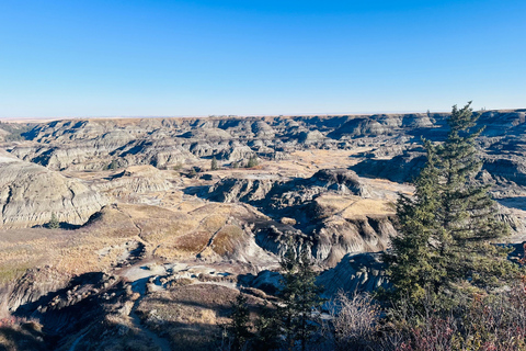 Badlands Tour: Drumheller with Museum, Hoodoos & Dinosaurs Booking Option for Summer 2026