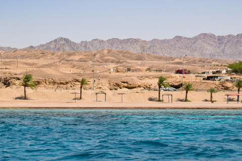 Aqaba: Avventura di snorkeling con auto privata e guida -2 spot