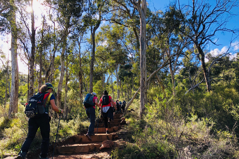 Perth: Numbat Trail Hike at Paruna Wildlife Sanctuary