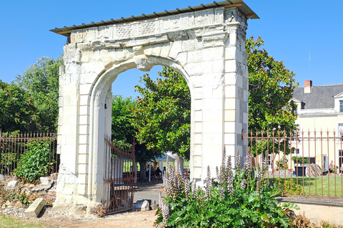 Anjou Saumur Unique Wine Tasting and Discovery - Full Day