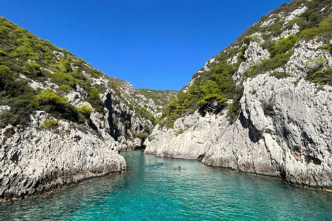 Zakynthos: Private Speedboat Tour to the Shipwreck and swim