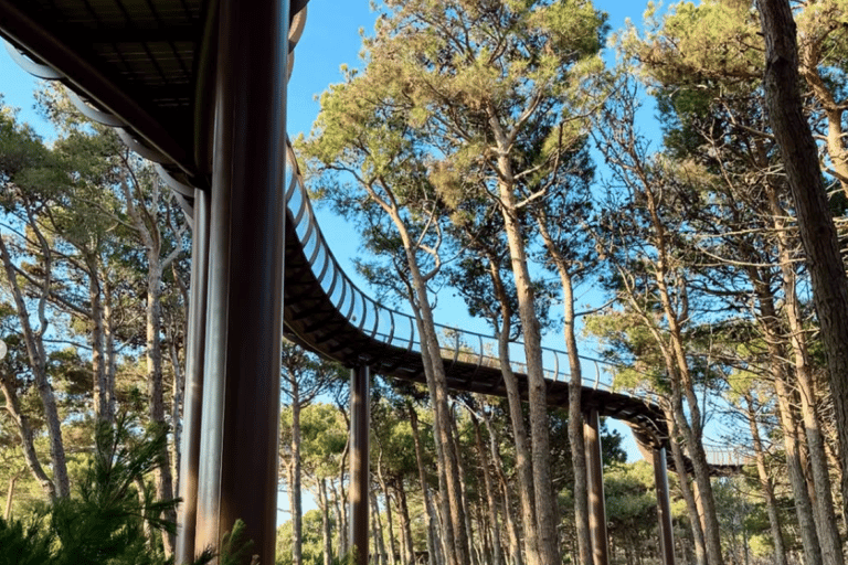 Discover the magnificent nature in Baku Central Botanical Garden Discover the Magnificent Nature at Baku Central Botanical Garden