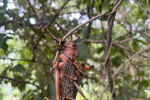 Parco Tayrona 2 giorni e 1 notte. Un percorso ancestrale.