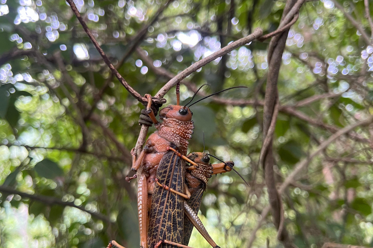 Parco Tayrona 2 giorni e 1 notte. Un percorso ancestrale.