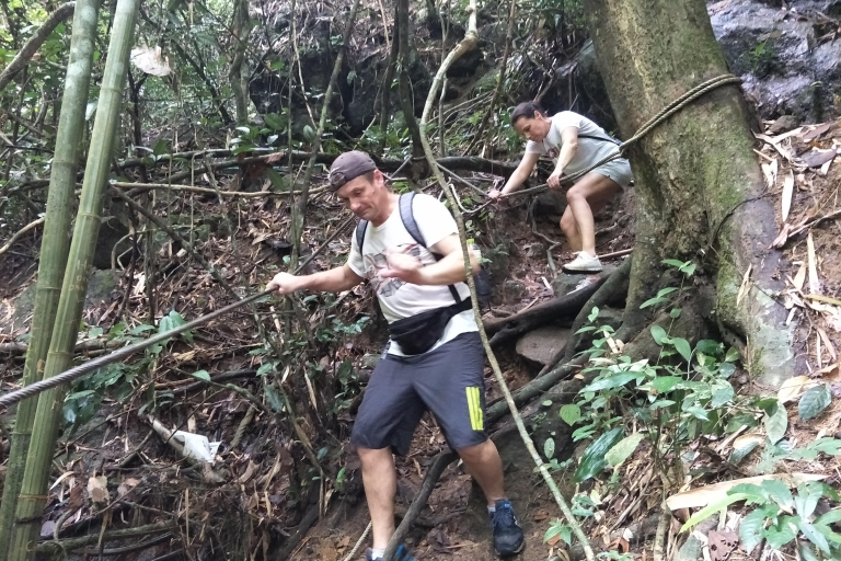 Depuis Phuket : Randonnée dans la forêt tropicale et les cascades