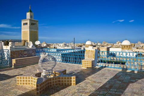 Tunis: Carthago, Sidi Bou Said en Medina privétour