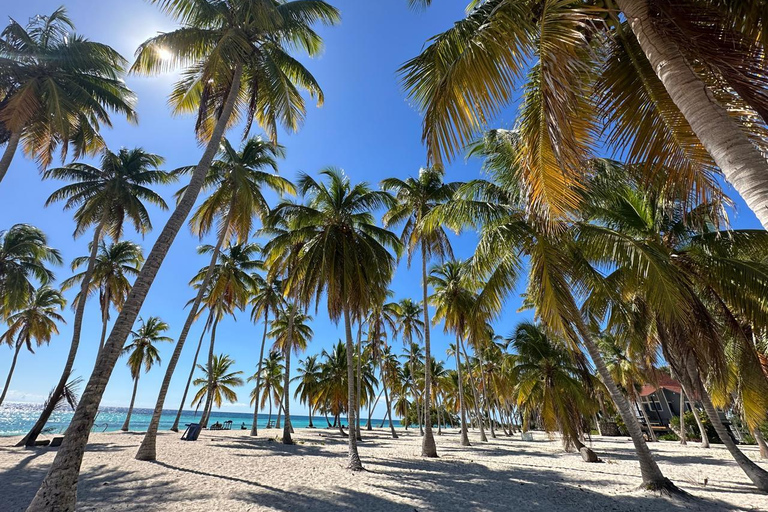 La Romana: Saona Island for Mein Schiff Cruises Passengers