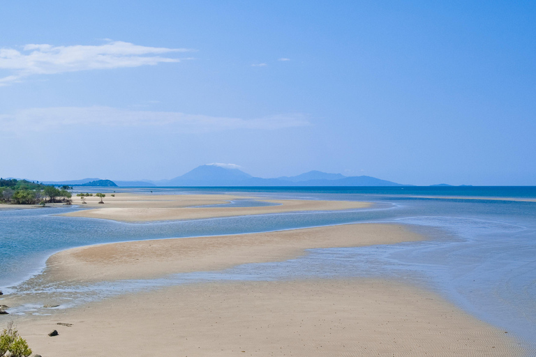 Cabo Tribulação: Daintree, Mossman Gorge e Port Douglas...