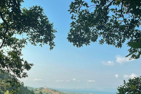 Samui Zipline FLY & Fun Tree Bridge Jungle Cafe & Waterfall