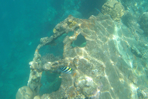 Coron: Private Speedboat to Pass Island, Reef & Ship Wrecks