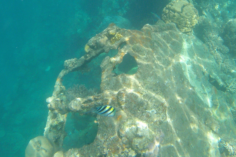 Coron: Private Speedboat to Pass Island, Reef & Ship Wrecks