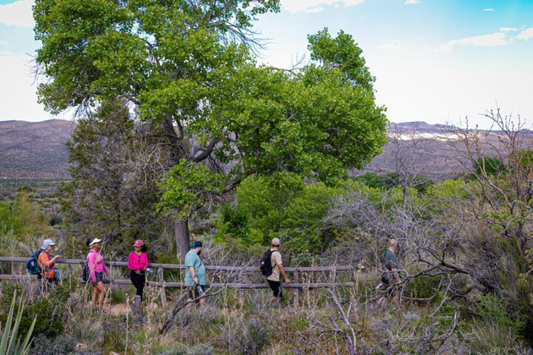 Las Vegas: Spring Mountain Ranch Hike & Happy Hour