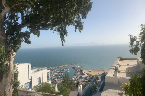 Explora lo esencial de Túnez en un Medio Día Privado 5 en 1Explora lo esencial de Túnez en un Medio Día Privado
