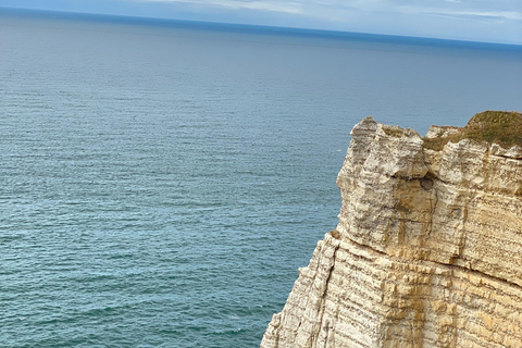 Paris: Normandy D-Day, Omaha Beach & American Cemetery Paris: Normandy D-Day Round-Trip Experience