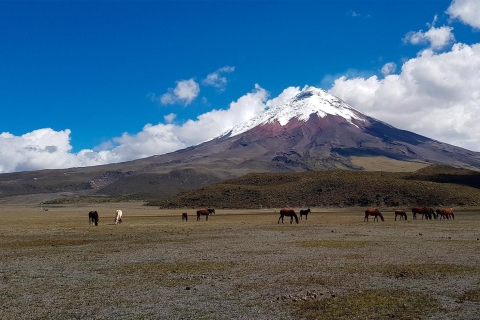 From Quito: Cotopaxi and Baños Tour in One Day-All Included From Quito: Cotopaxi and Baños Tour in Small Group