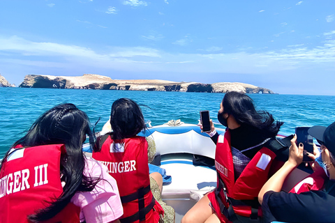 Visite d'une jounée : De Lima - Paracas - Oasis de Huacachina