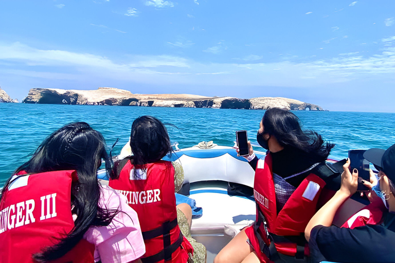 Visite d'une jounée : De Lima - Paracas - Oasis de Huacachina