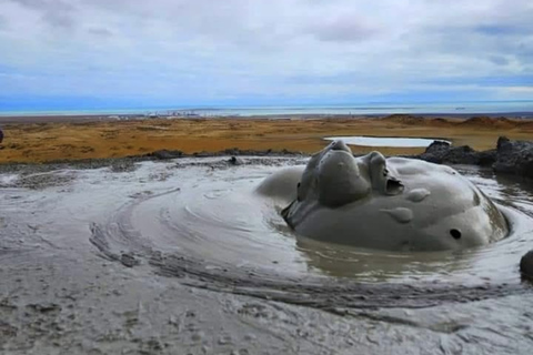 Gobustan, Absheron & Shahdag Trip - 2 days Baku trip Gobustan, Absheron & Shahdag - 2 days trip(Tickets included)