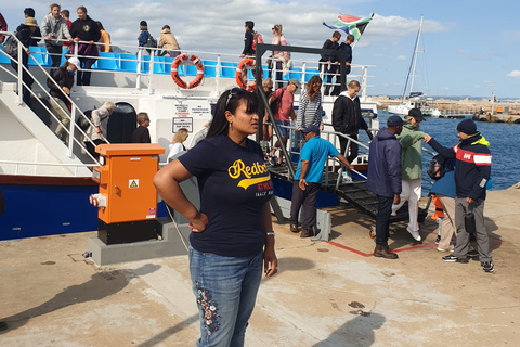 Observation des baleines à Hermanus Visite d'une jounée, au départ du Cap