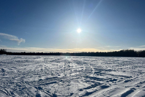 Fairbanks, Alaska: Guided Snowmobile Tour Snowmobile Tour: Couple (2 riders per sled)