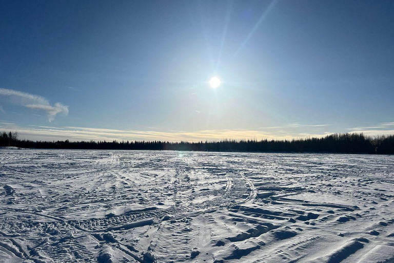 Fairbanks, Alaska: Guided Snowmobile Tour Snowmobile Tour: Couple (2 riders per sled)