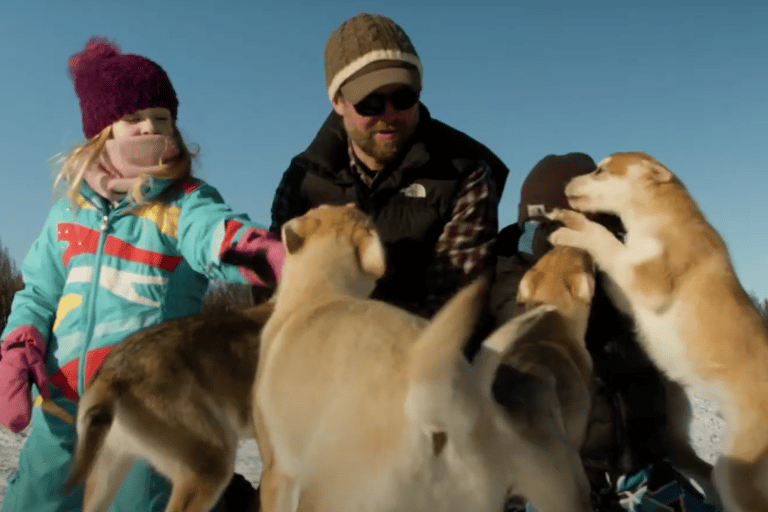 Talkeetna: تجربة تزلج الكلاب في فصل الشتاء في ألاسكا