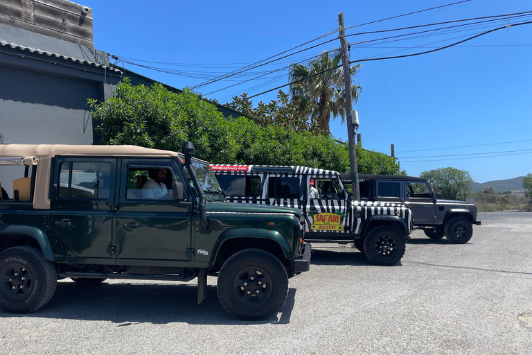Ibiza Shared Safari Tour –Hidden Beaches, Caves & Snorkeling