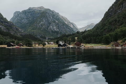 Øystese: Ekskluzywne safari po fiordzie Fyksesund prywatnym RIB-emØystese: Prywatne safari po fiordzie Fyksesund RIB