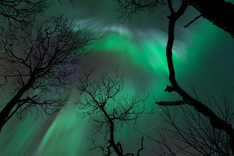 Tromsø: Northern Lights Tour – Unlimited Chase & Free Photos 6-8 Hours, Aurora chase, Comfortable bus, Photos included