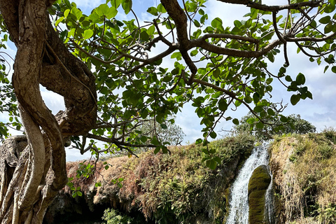 Salalah: Wadi Darbat, ,Caverna Teeq - Excursão às árvores Baobou