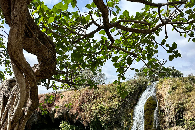 Salalah : Wadi Darbat, grotte de Teeq - visite des arbres Baobou