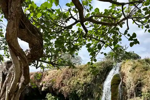 Tour privato Elite di un giorno - Attrazioni principali di Salalah