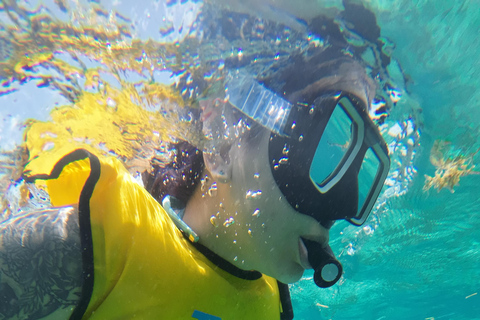 Cancun: Snorkeling Boat Tour with Hotel Transfer and Gear