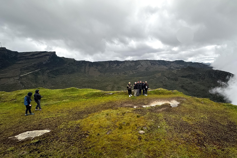 Private sight Tour Chingaza Paramo from Bogota, Andean BearPrivate sighting Tour in Chingaza Paramo, Andean Bear