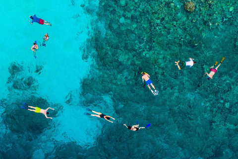 Los Cabos Arch &amp; Lover&#039;s Beach Tour + Schnorcheltour