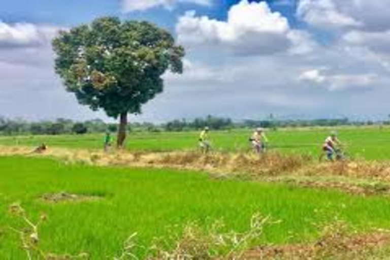 Visite de la forêt de Moshi