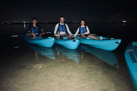 Cocoa Beach/Merritt Island:Bioluminescent kayak tour Single Kayak