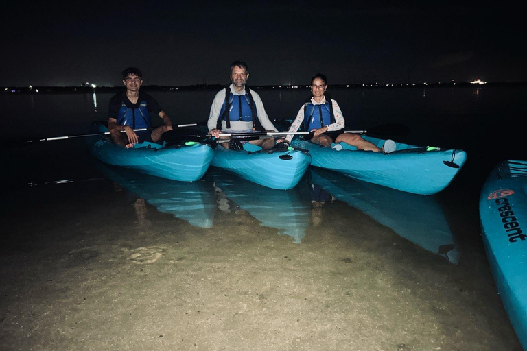 Cocoa Beach/Merritt Island:Bioluminescent kayak tour Single Kayak