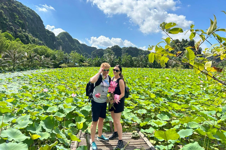 نينه بينه: غروب الشمس من كهف موا ومشي هوا لو ليلاًسيارة جيب قديمة للجيش الأمريكي