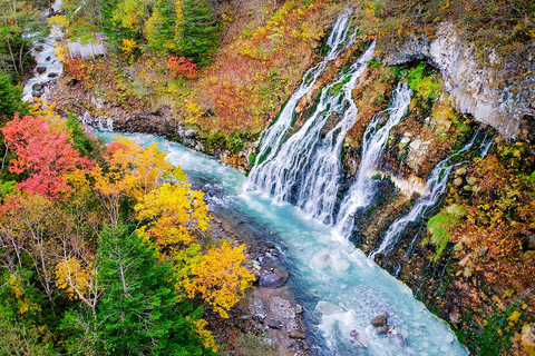 Hokkaido: Asahiyama Dierentuin, Shirahige Val, Ningle Terras Dag