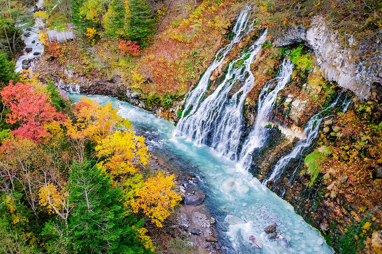 Hokkaido: Asahiyama Zoo, Shirahige Fall, Ningle Terrace Day