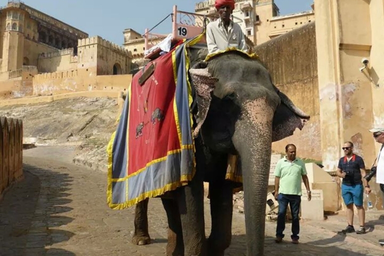 15-daagse Royal Rajasthan Fort & Palace-tour vanuit DelhiTour per auto en chauffeur met gids