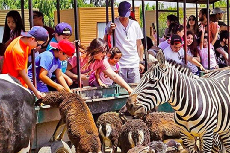 Santiago, Parque Safari