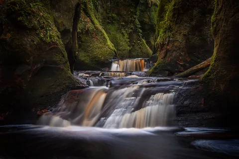 Rejoignez le côté obscur de la nature magique