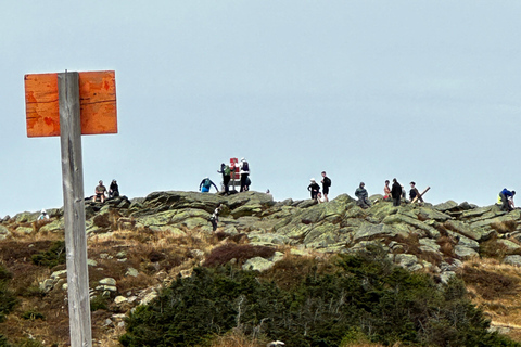 Boston: White Mountains 4.000 voet wandeling - Mount Moosilauke