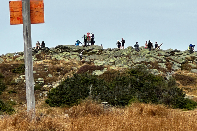 Boston: White Mountains 4.000 voet wandeling - Mount Moosilauke