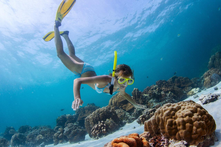 Sharm El Sheij: Crucero en barco de lujo con snorkel y almuerzoSharm El Sheij: Crucero por el Parque Natural con snorkel y almuerzo