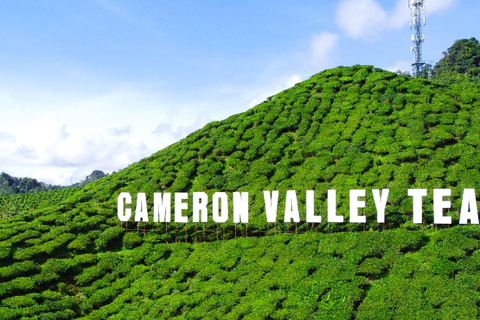 Penang: Cameron Highlands 3D2N Trip Private Group Tour