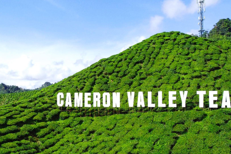 Penang: Cameron Highlands 3D2N Trip Private Group Tour
